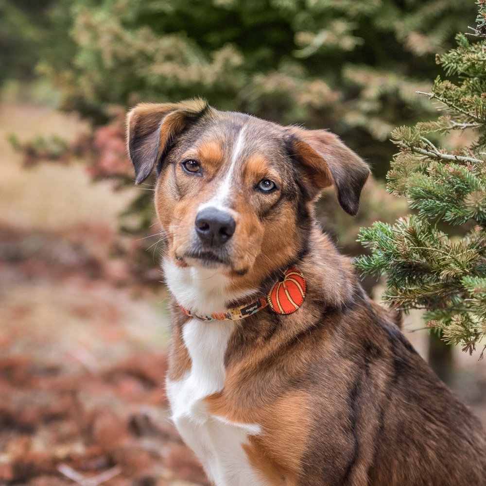 Meet your Posher, Zoe